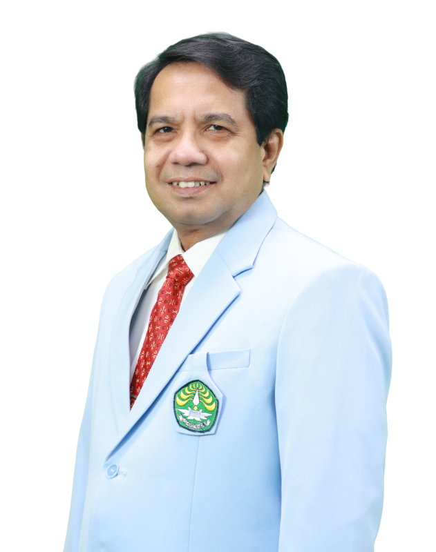 MUHAMMAD YULIS HAMIDY